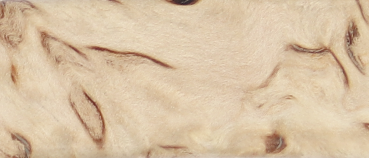 Bouleau madré